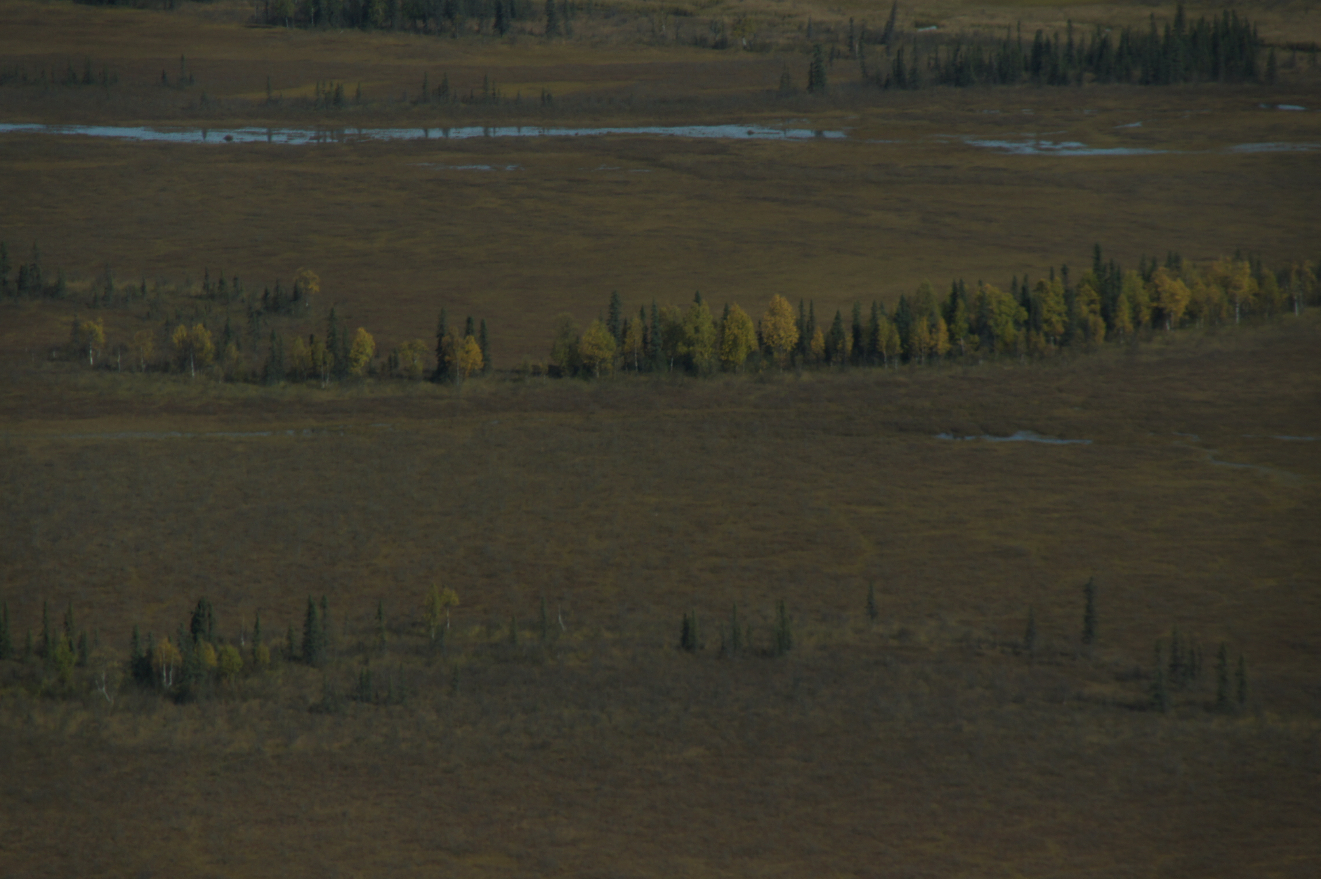 Click to return to the thumbnail index